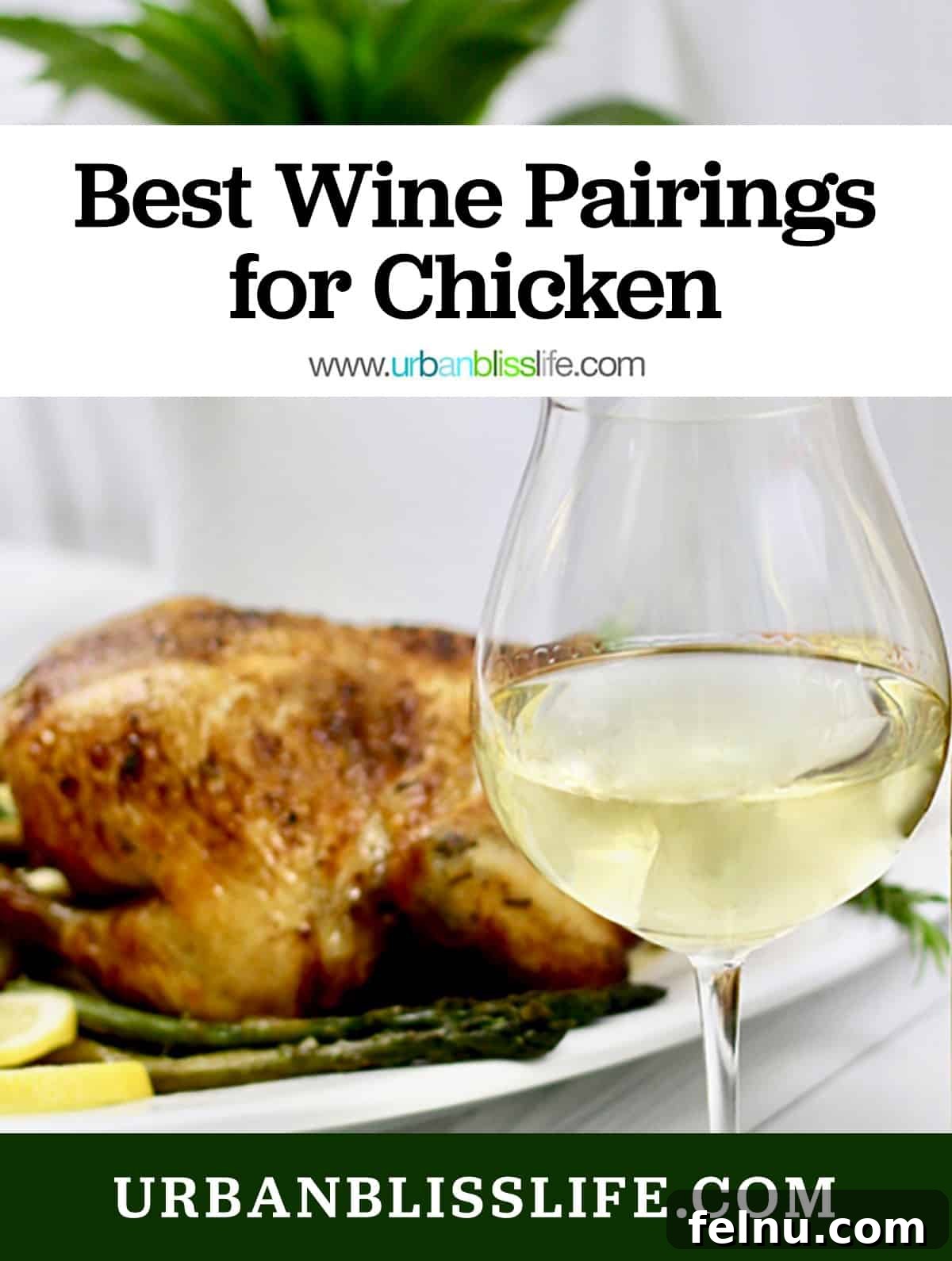Perfect Wine Pairings for Every Chicken Dish 2 A glass of white wine elegantly positioned in front of a golden brown roast chicken, with title text overlay that reads 'Best Wine Pairings for Chicken.'