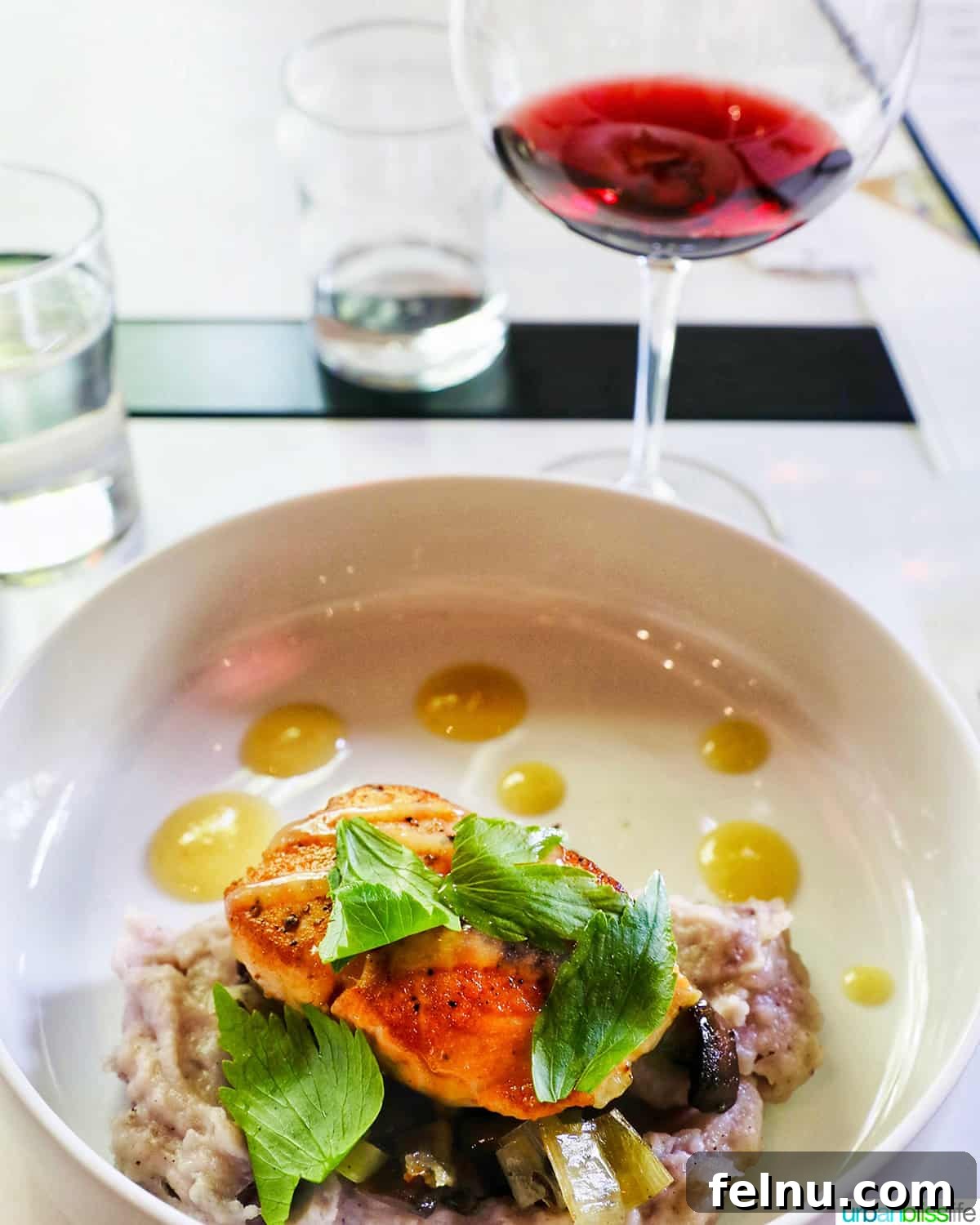 The Perfect Pairing: Wine and Salmon 5 Glass of Gamay Noir with a plate of salmon