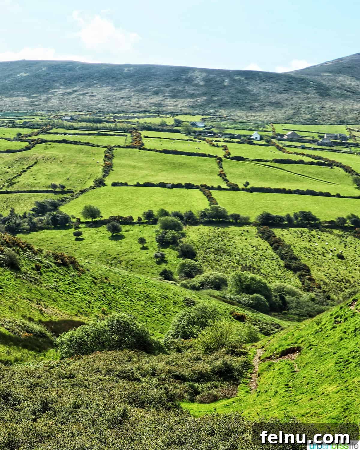İrlanda'da Sürüş: Turistlerin Bilmesi Gerekenler 3 green hills and fields near Dingle, Ireland
