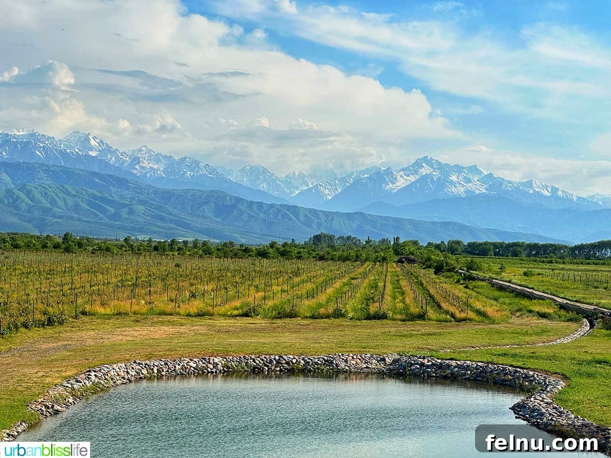 Explore Almaty: Thirty Unforgettable Things to Do 21 The scenic Arba Wine vineyards stretch out with majestic mountains and a tranquil pond in the background, just outside Almaty, Kazakhstan.