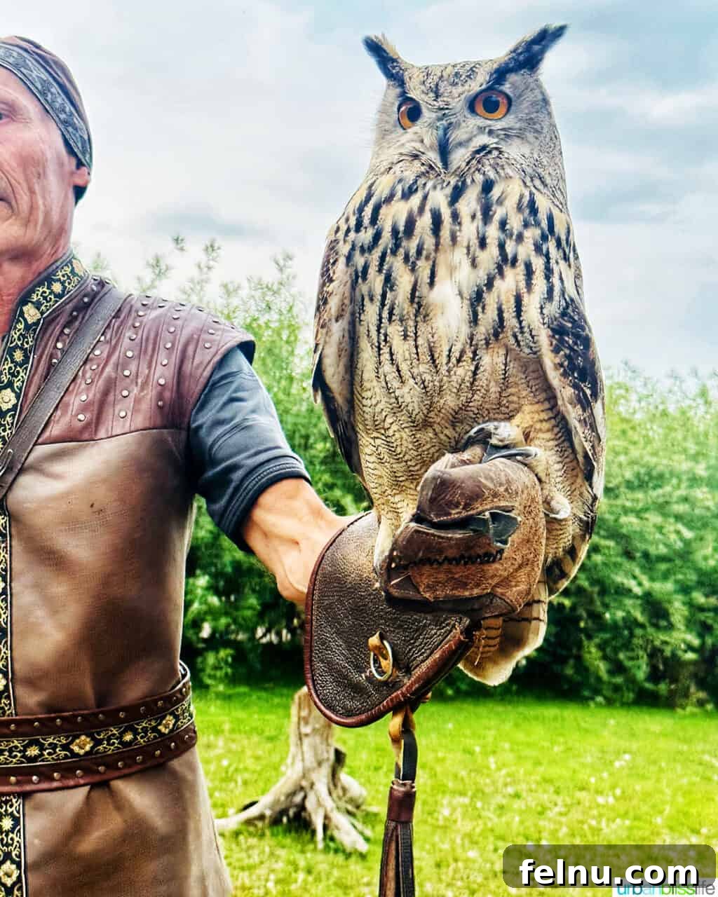 Explore Almaty: Thirty Unforgettable Things to Do 23 A falcon trainer proudly holds a large, captivating owl on his arm at Falcon Farm Sunkar in Almaty, Kazakhstan.