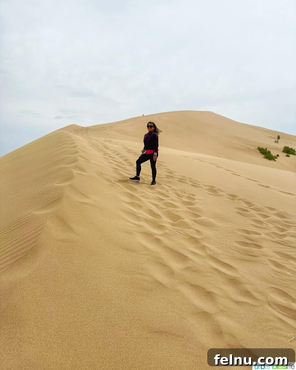 Explore Almaty: Thirty Unforgettable Things to Do 29 Marlynn Jayme Schotland bravely climbing the steep slopes of the Singing Dunes in Altyn-Emel National Park in Almaty, Kazakhstan.