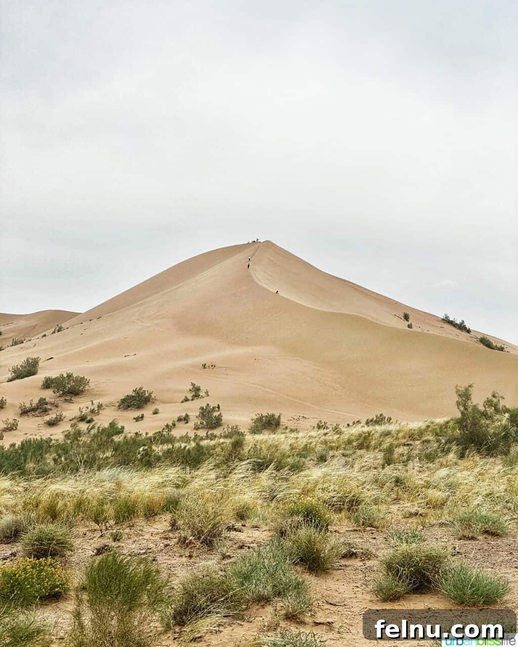 Explore Almaty: Thirty Unforgettable Things to Do 30 The vast, undulating landscape of the Singing Dunes within Altyn-Emel National Park near Almaty, Kazakhstan, known for its unique sounds.