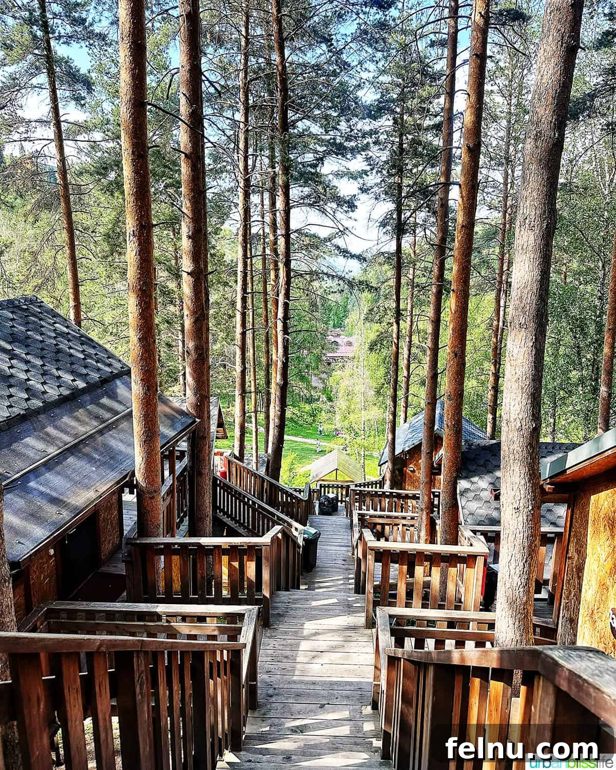 Explore Almaty: Thirty Unforgettable Things to Do 38 The enchanting Tree Village, featuring charming treehouses and winding stairs nestled amongst the forest trees at Oi Qaragai Resort outside Almaty, Kazakhstan.