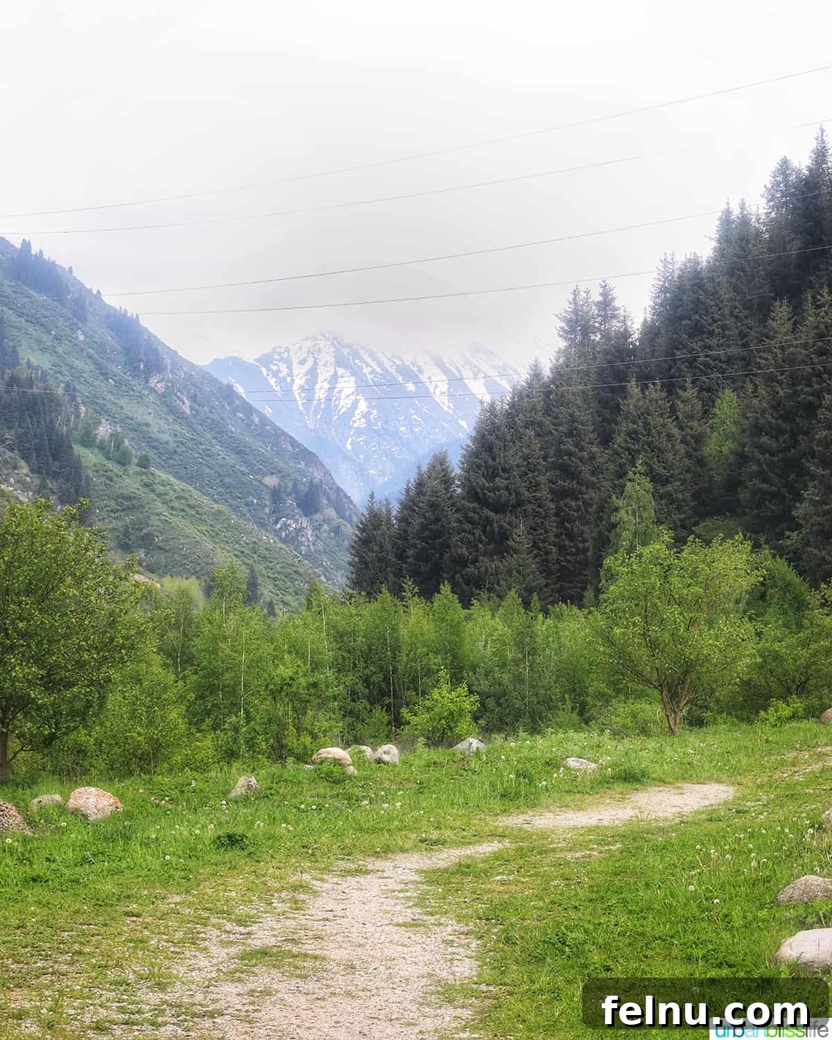 Explore Almaty: Thirty Unforgettable Things to Do 42 A serene hiking trail winds through lush mountains and tall trees near Almaty, Kazakhstan, inviting exploration.