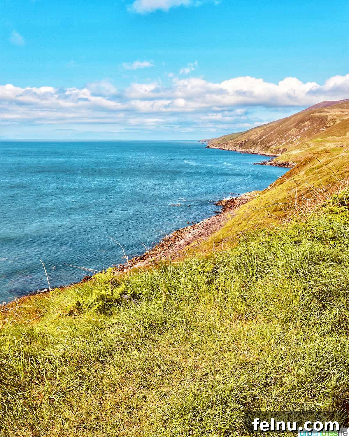 The Emerald Isle in a Week: Your Ultimate Ireland Itinerary 3 Irish coastline near Inch Beach