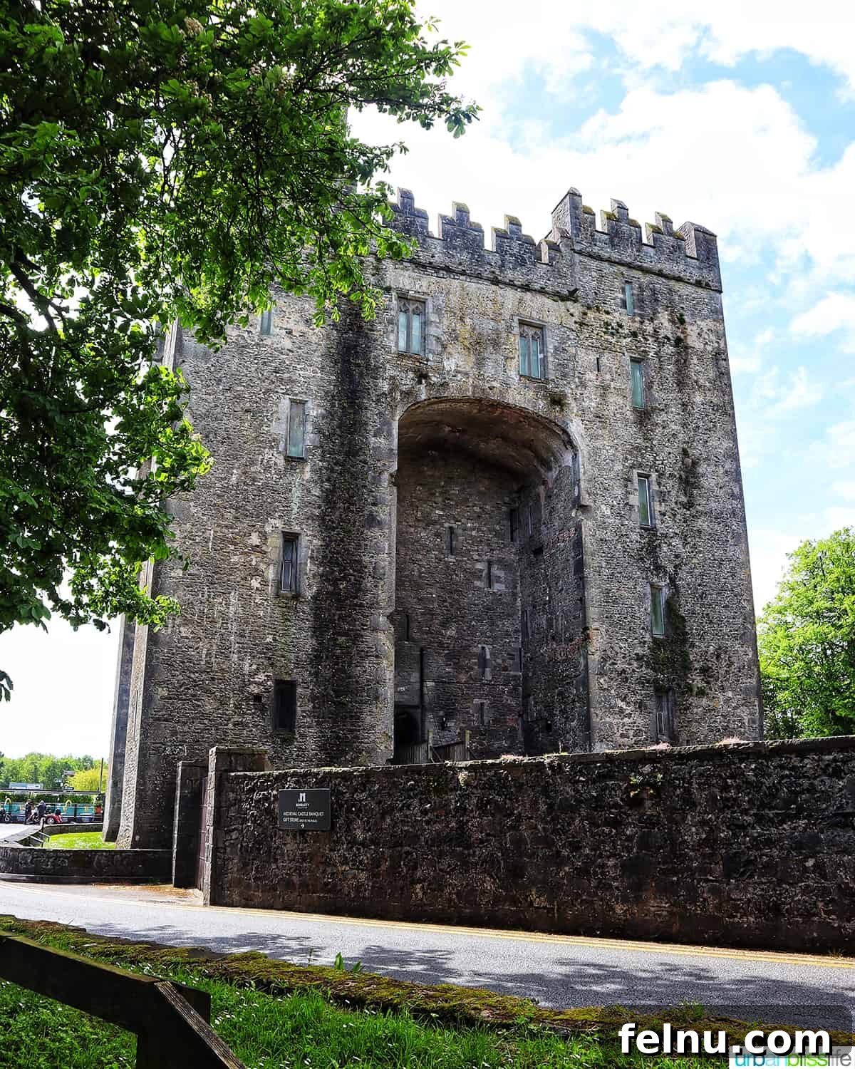 The Emerald Isle in a Week: Your Ultimate Ireland Itinerary 23 Bunratty Castle in Ireland
