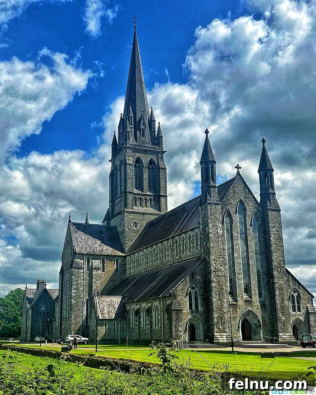 The Emerald Isle in a Week: Your Ultimate Ireland Itinerary 25 St Mary's Cathedral in Killarney, Ireland