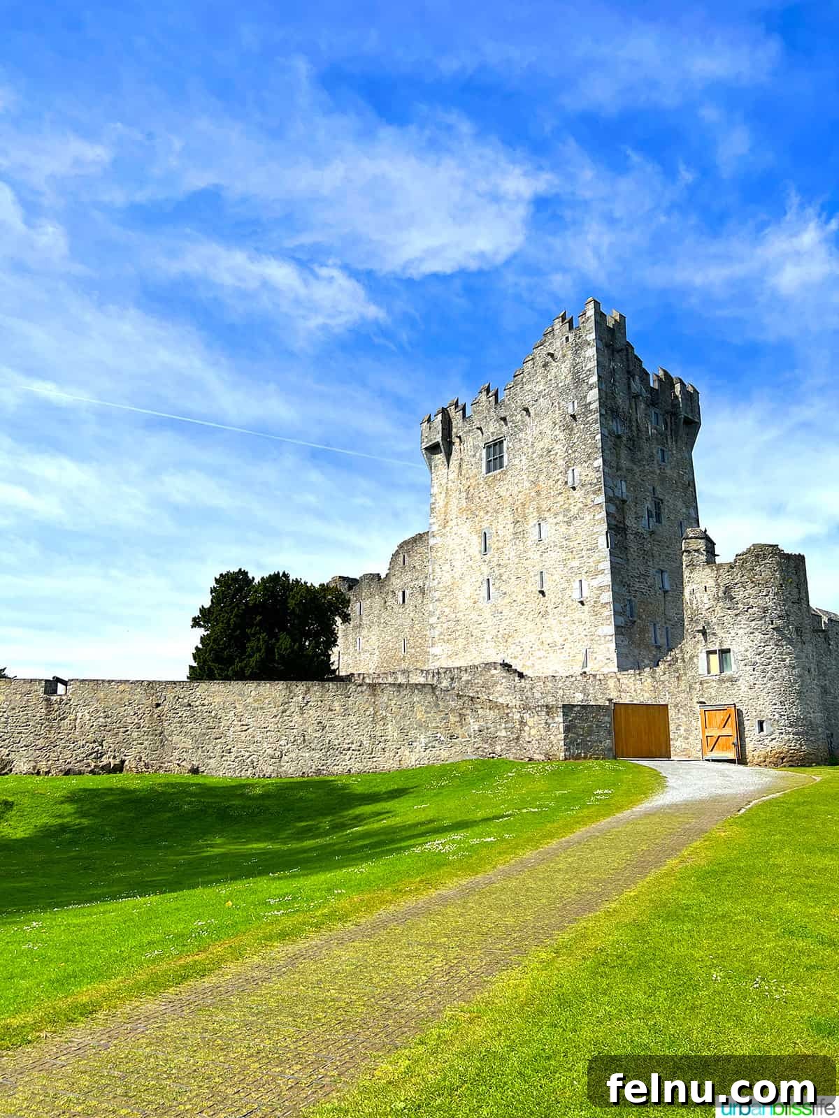 The Emerald Isle in a Week: Your Ultimate Ireland Itinerary 26 Ross Castle in Killarney, Ireland