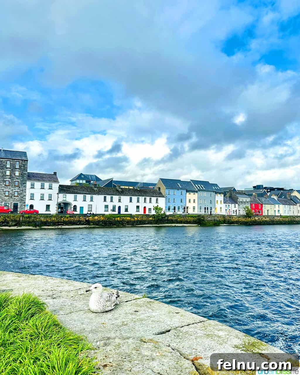 The Emerald Isle in a Week: Your Ultimate Ireland Itinerary 8 River Corrib in Galway, Ireland