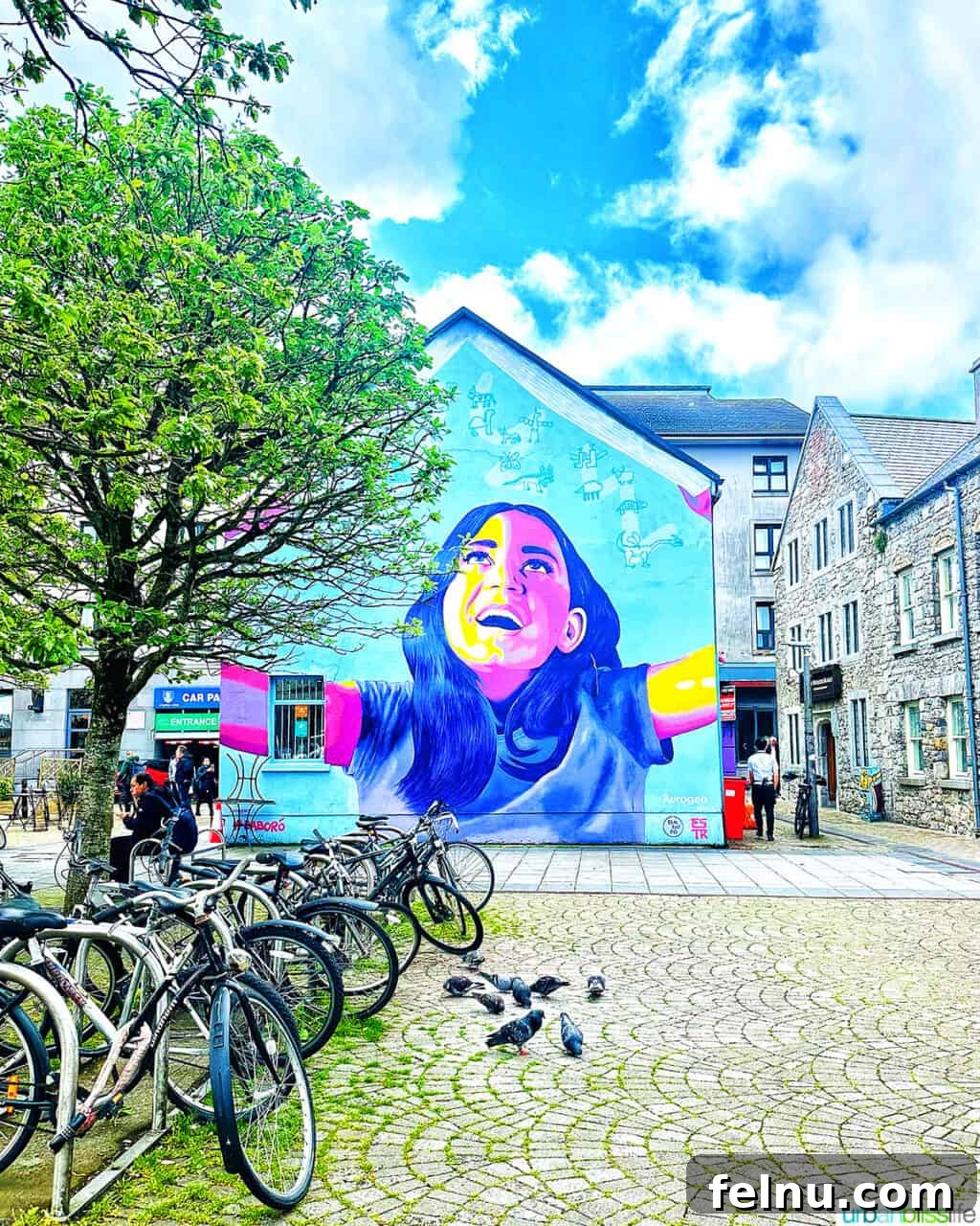 The Emerald Isle in a Week: Your Ultimate Ireland Itinerary 9 Colorful mural in Galway, Ireland