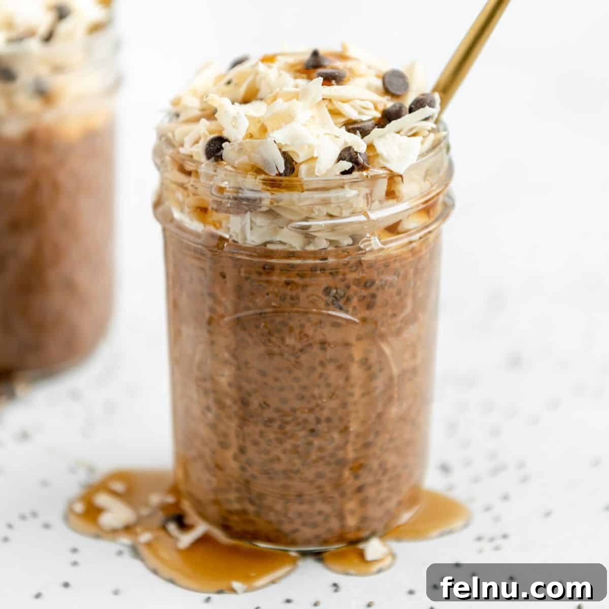 Overnight Breakfast Chia Pudding (5-Ingredients)