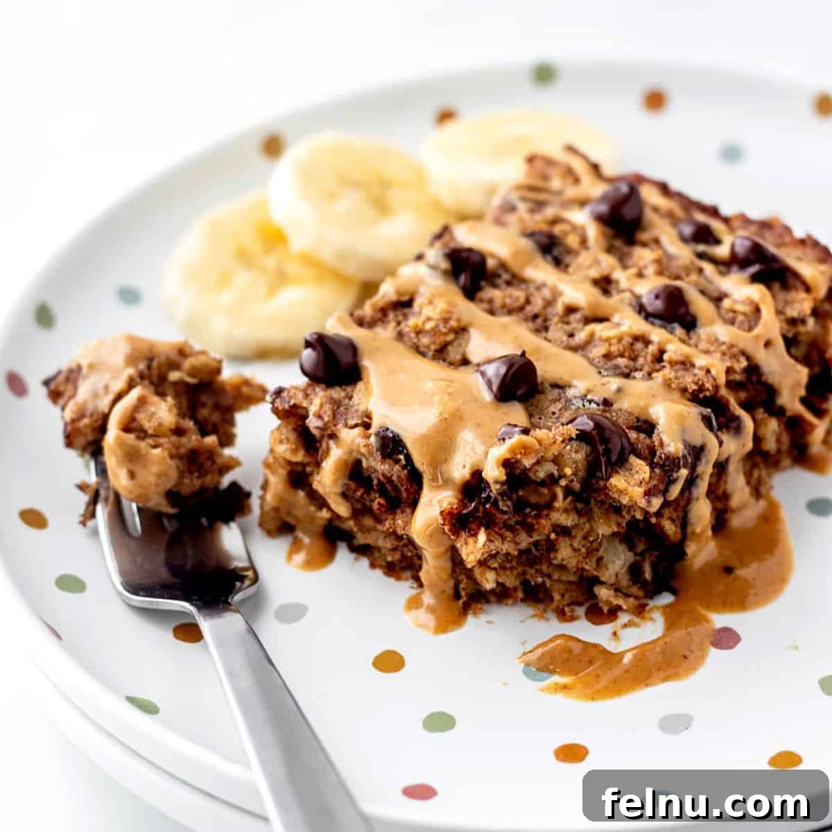 Baked Chocolate Chip Oatmeal - Healthy Kids Recipes