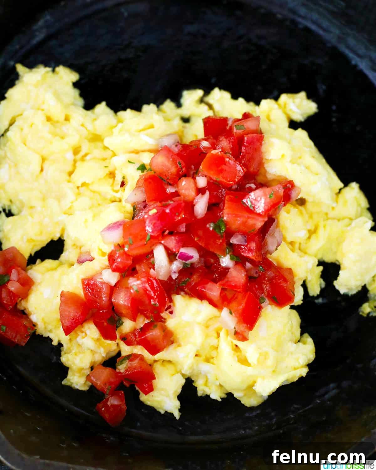 Fireside Morning Feasts 3 Salsa eggs simmering in a skillet over a camp stove, ready for a delicious camping breakfast.