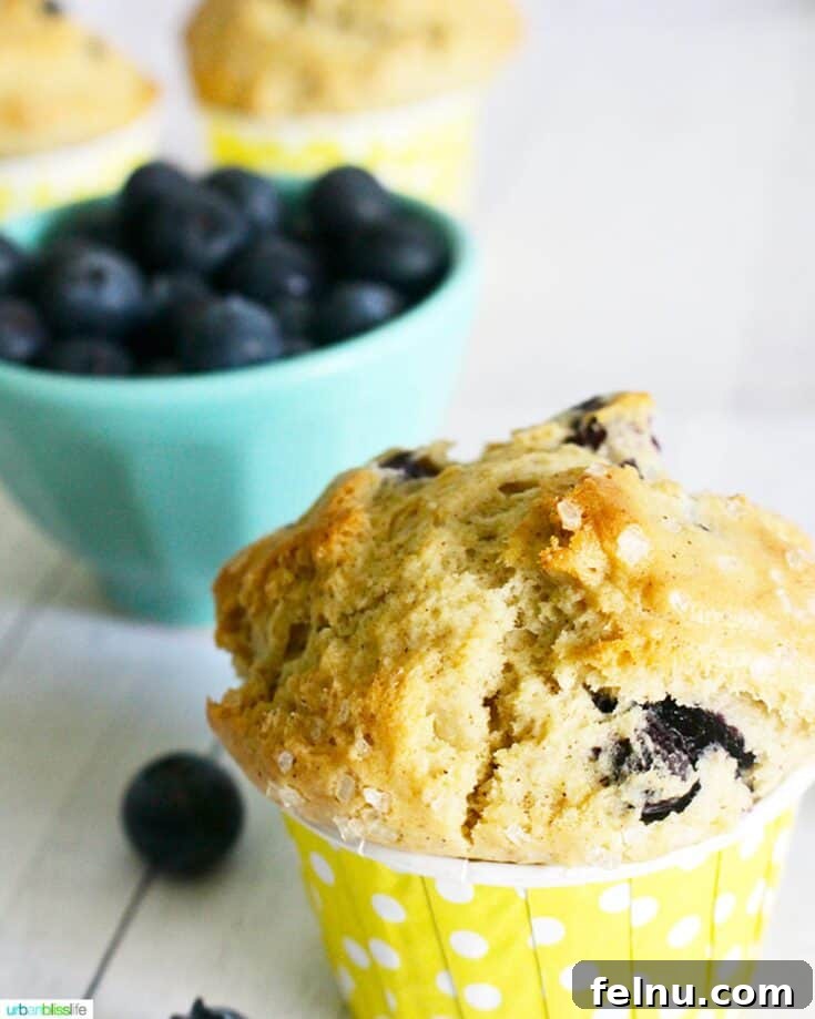 Dairy Free Blueberry Muffins with Lemon