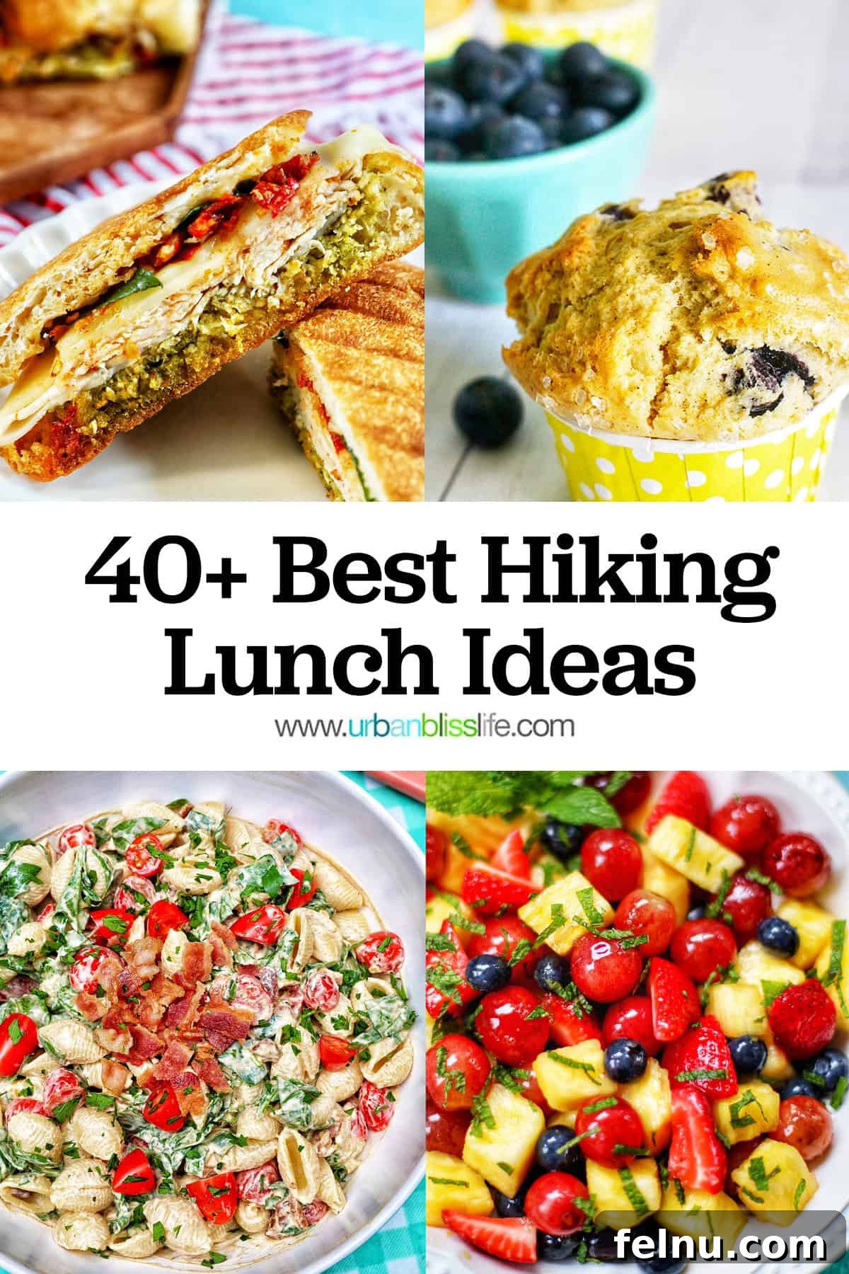 A collage of hiking lunch ideas, including fruit salad, BLT pasta salad, blueberry muffins, and a turkey pesto sandwich, with the title '40+ Best Hiking Lunch Ideas'.