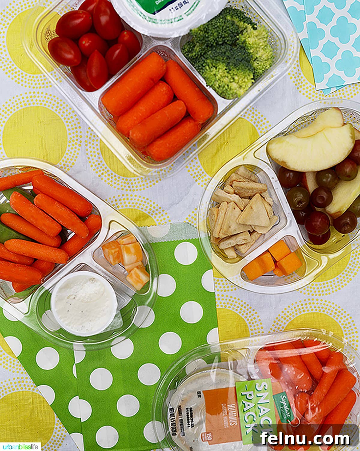 Back to school lunch snack packs, illustrating the variety of portable snack options available.