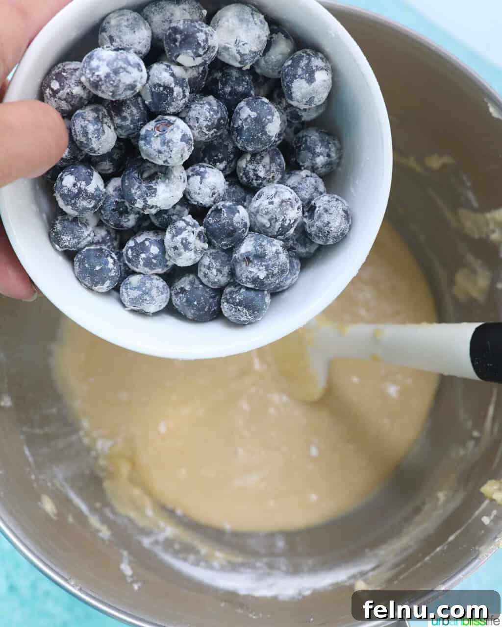 Gently folding the floured blueberries into the prepared cake batter.