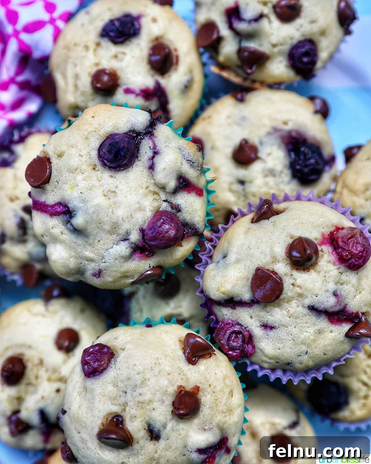 Blueberry Chocolate Chunk Muffins 2 Delicious homemade blueberry chocolate chip muffins stacked on a plate