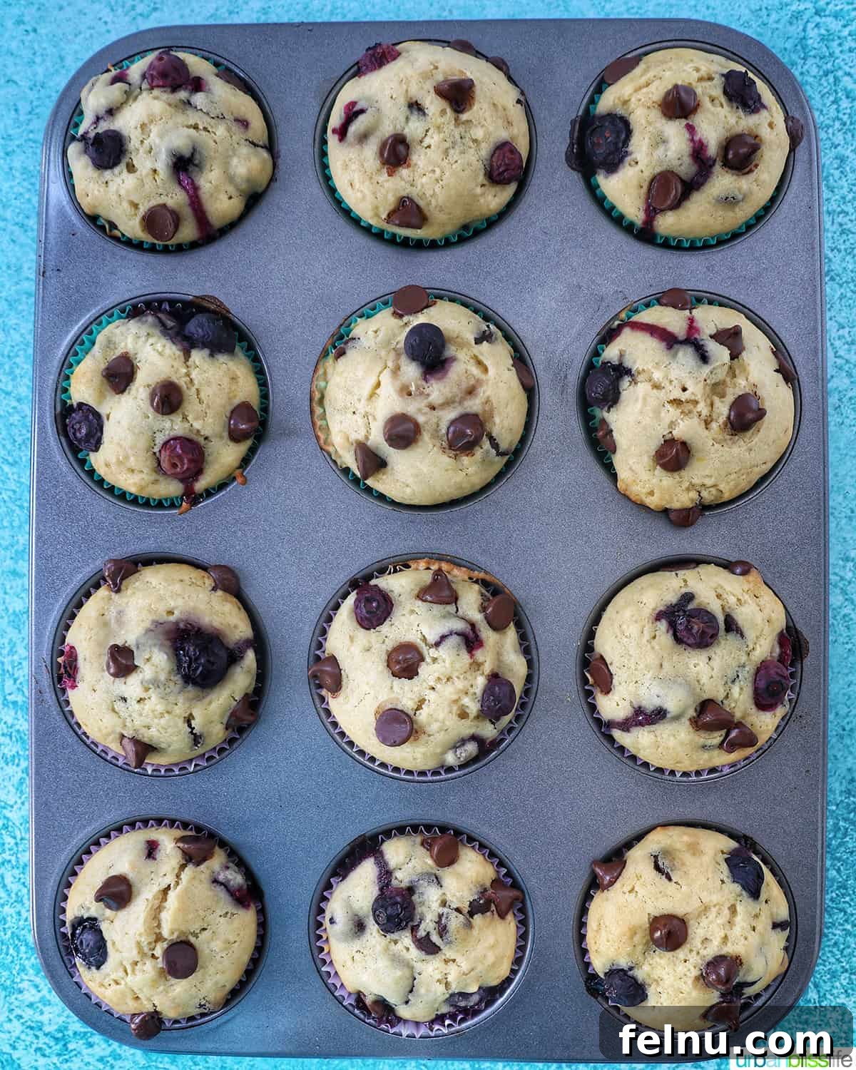 Blueberry Chocolate Chunk Muffins 14 Freshly baked blueberry chocolate chip muffins in a muffin tin