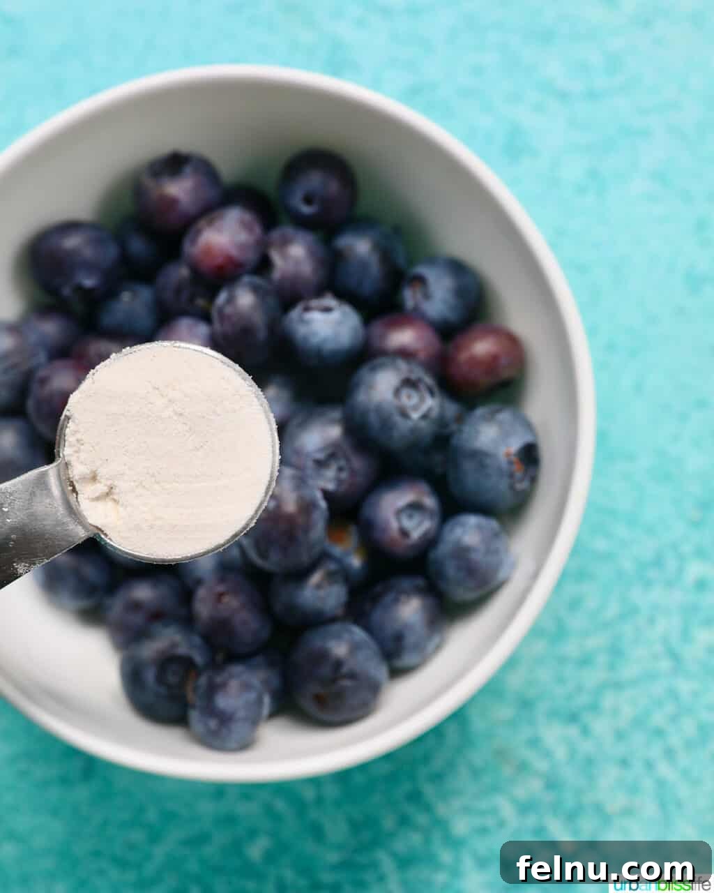 Blueberry Chocolate Chunk Muffins 6 Coating blueberries with flour in a white bowl