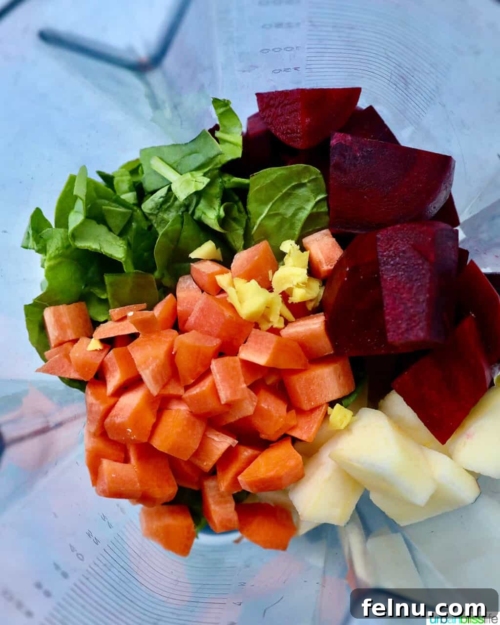 Ruby Root Revival 6 beets, carrots, spinach, apples, ginger in a blender.