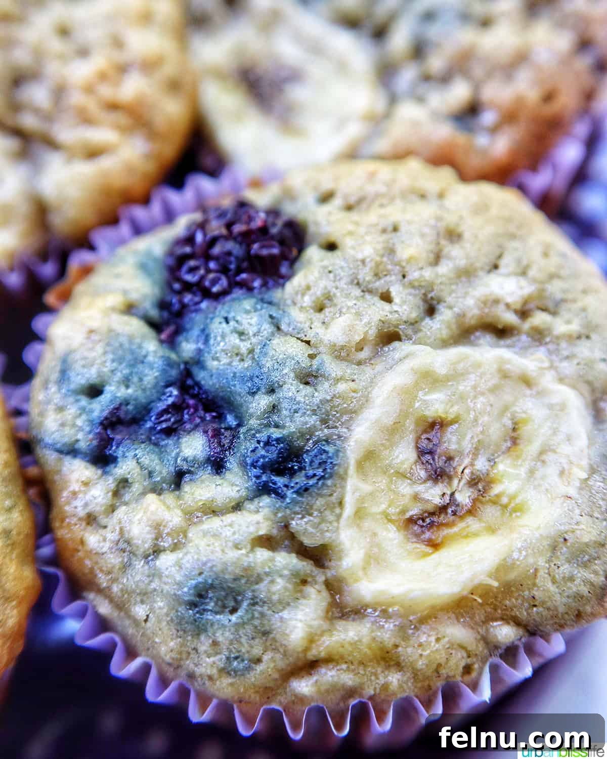 Bursting Blackberry Banana Oat Muffins 15 A close-up view of a single banana blackberry oatmeal muffin, showcasing its golden crust and fruity interior.