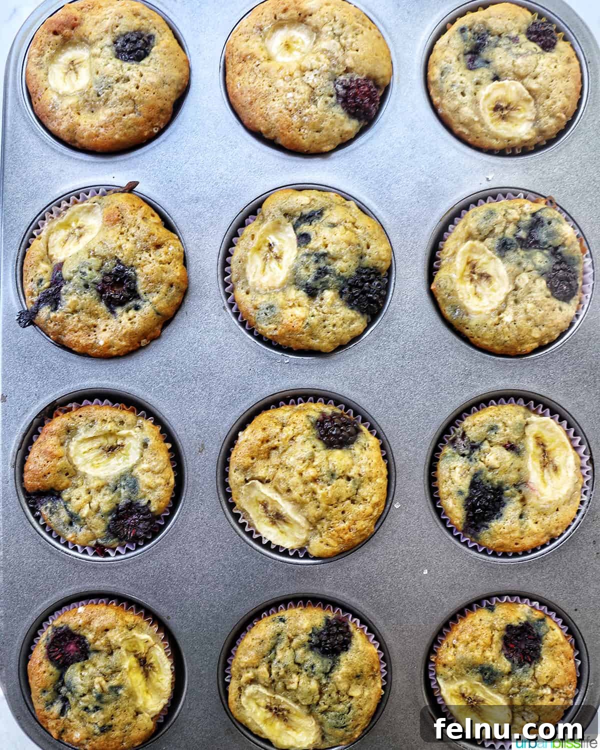 Bursting Blackberry Banana Oat Muffins 16 Freshly baked banana blackberry oatmeal muffins cooling in a muffin tin, viewed from overhead.