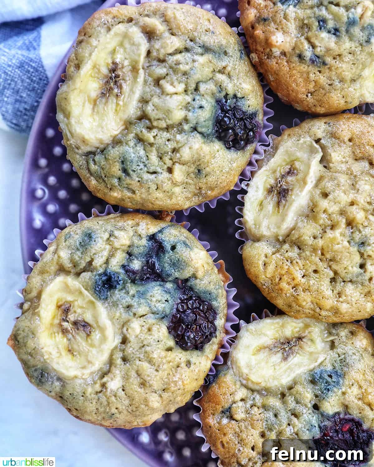 Bursting Blackberry Banana Oat Muffins 3 A purple plate neatly arranged with several freshly baked banana blackberry oatmeal muffins, captured from an overhead angle.