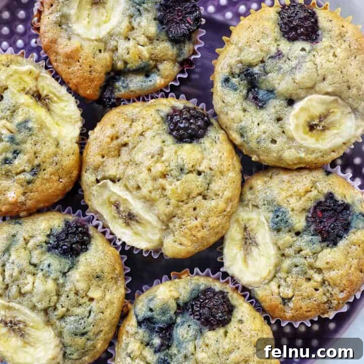 A purple plate showcasing several freshly baked banana blackberry oatmeal muffins.