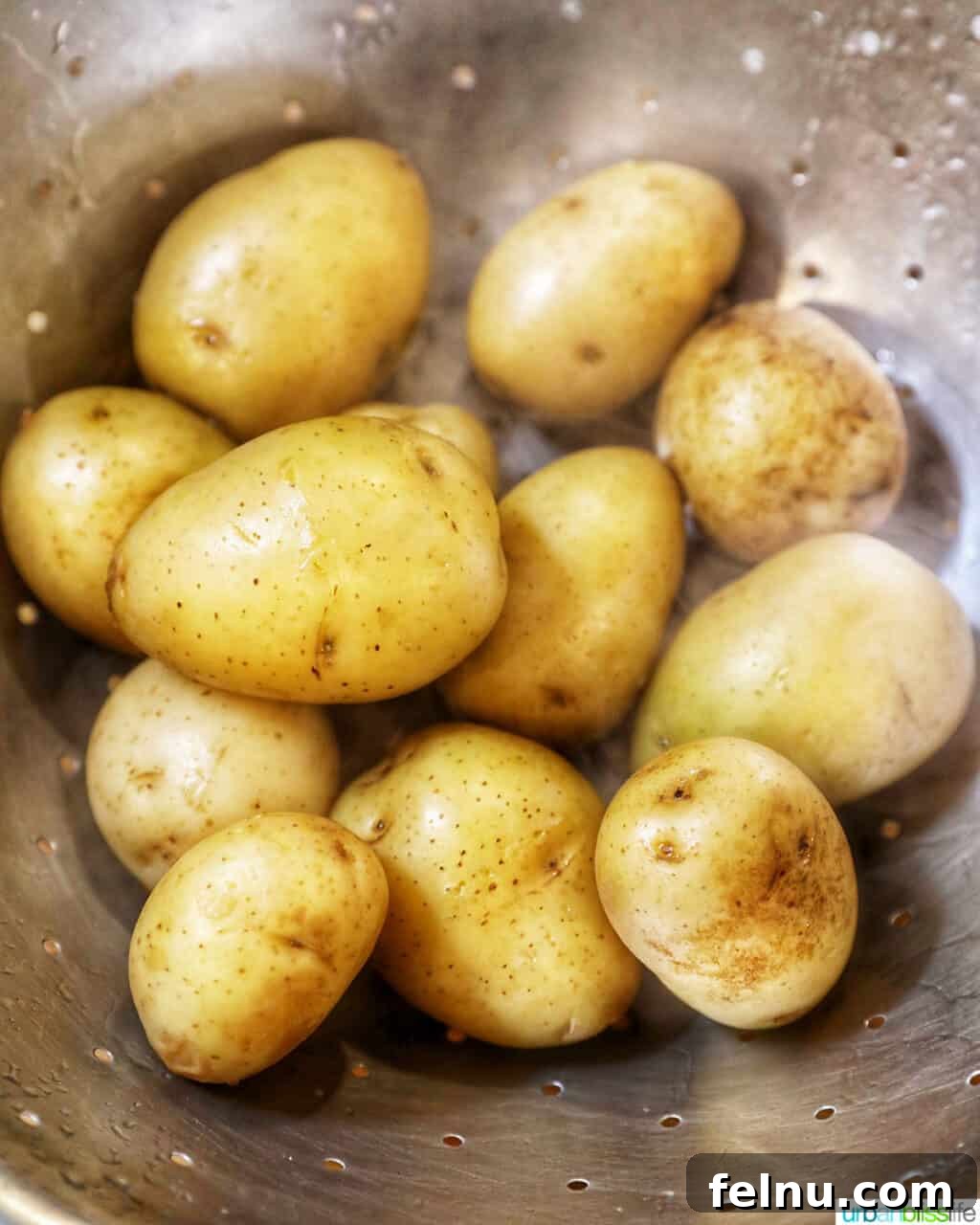 Creamy Baby Potato Salad with Crispy Bacon 4 baby potatoes ready for cooking for a potato salad recipe
