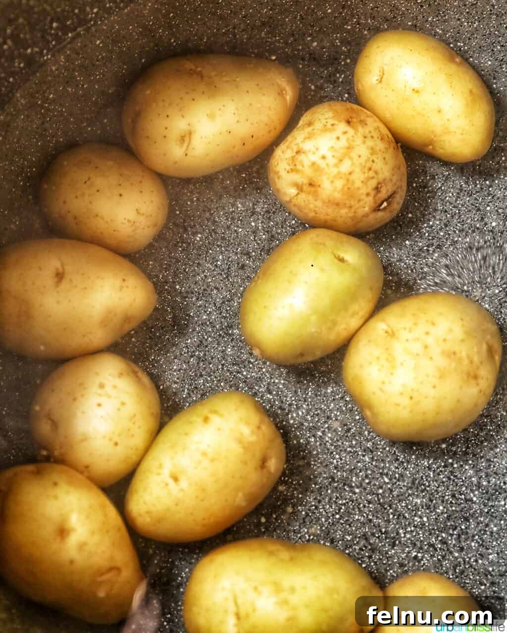 Creamy Baby Potato Salad with Crispy Bacon 5 boiling baby potatoes in a pot for a potato salad recipe