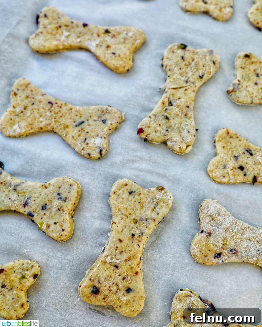 Happy Hound Blueberry Treats 13 Baked blueberry dog treats cooling on a baking tray.