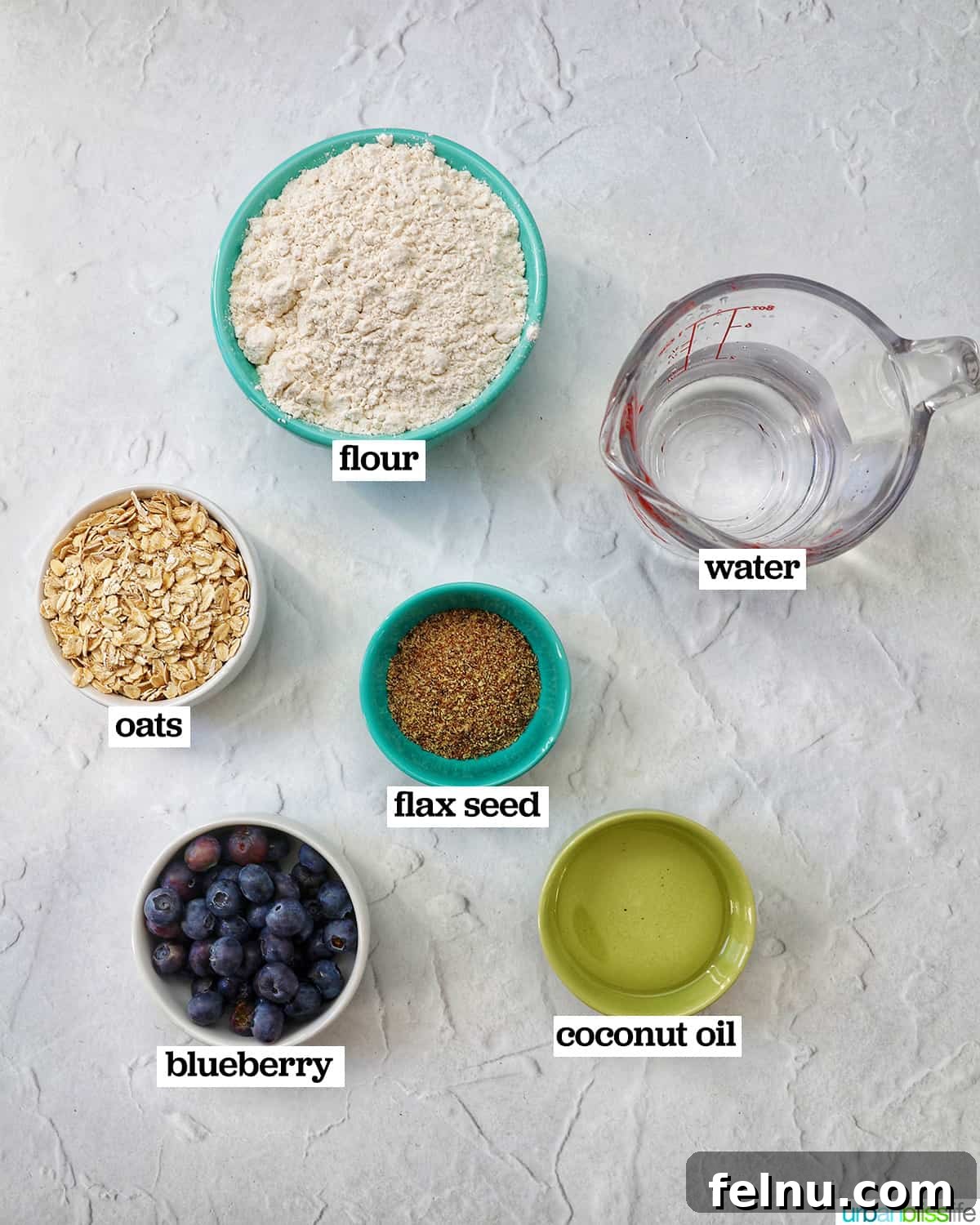 Happy Hound Blueberry Treats 4 Ingredients for blueberry dog treats laid out: flour, oats, flaxseed, coconut oil, water, and blueberries.
