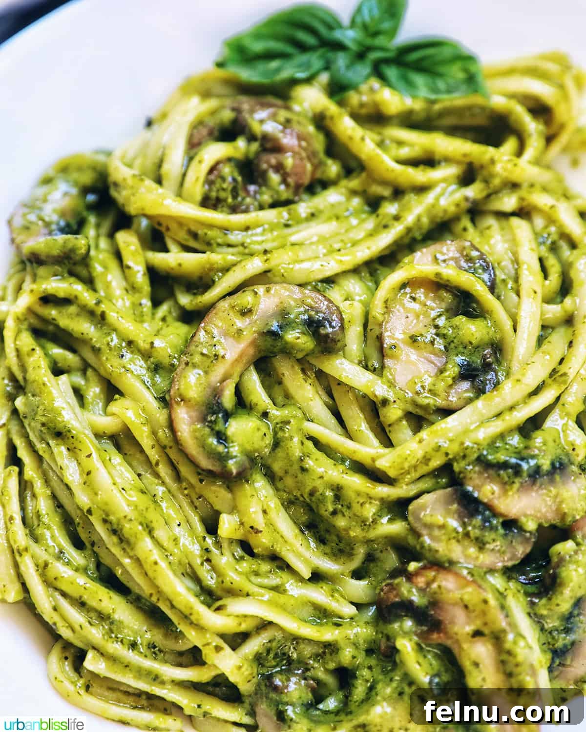 Earthy Mushroom Pesto Pasta 2 Closeup of linguine pasta in a creamy mushroom pesto sauce, garnished with fresh basil.