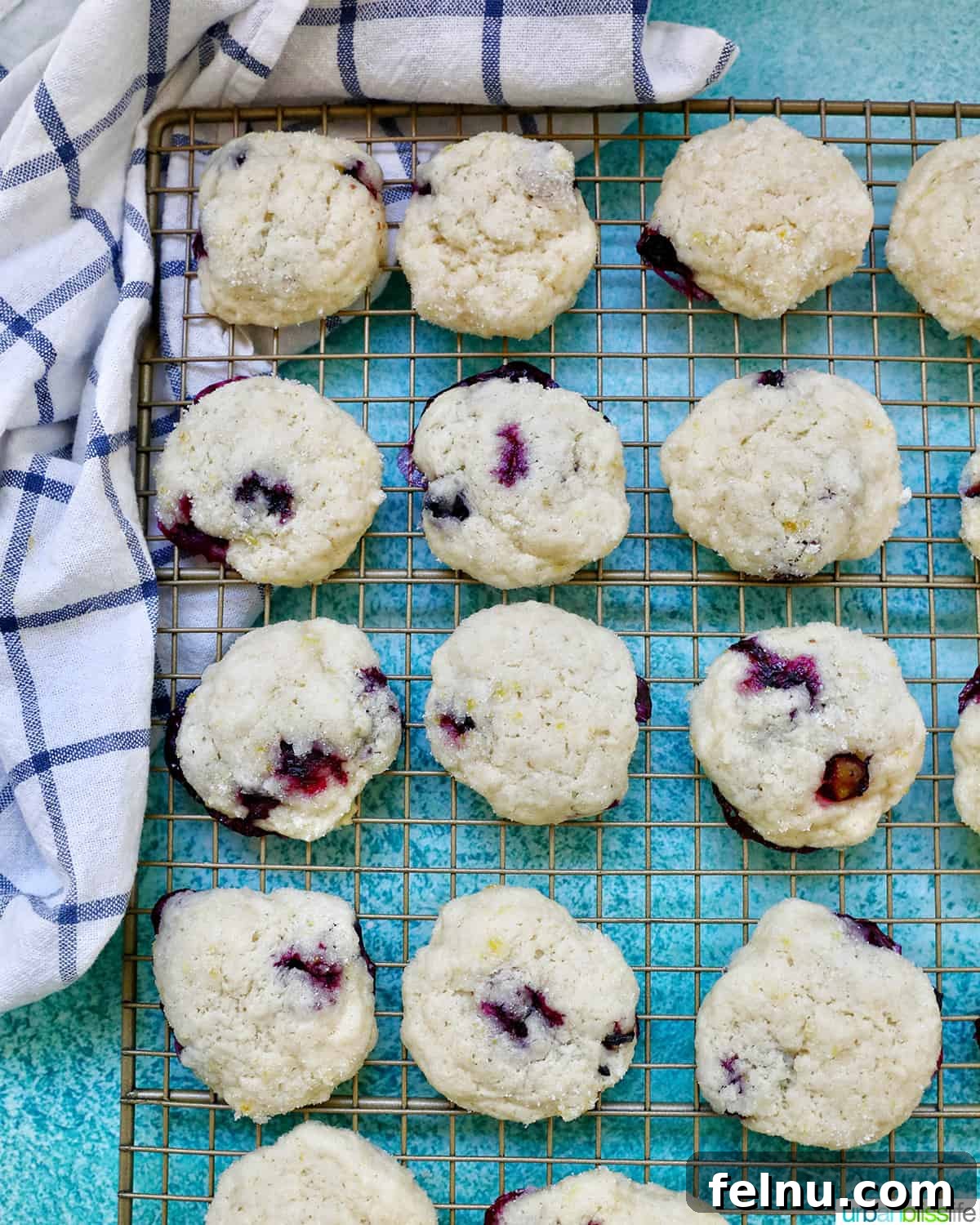 Lemon Blueberry Bliss Cookies 21 Lemon blueberry cookies on a wire rack with white and blue napkin.