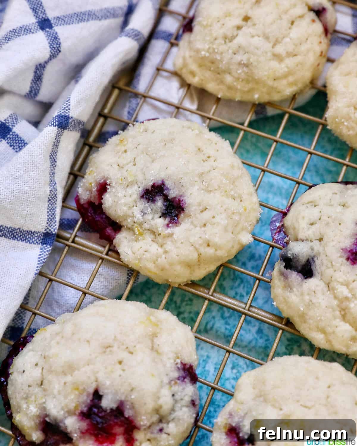 Lemon Blueberry Bliss Cookies 22 Lemon blueberry cookies on a wire rack with white and blue napkin.