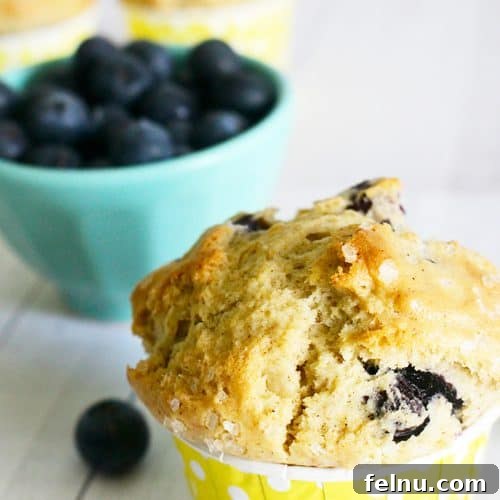Lemon Blueberry Bliss Cookies 23 Lemon blueberry muffins that are dairy-free