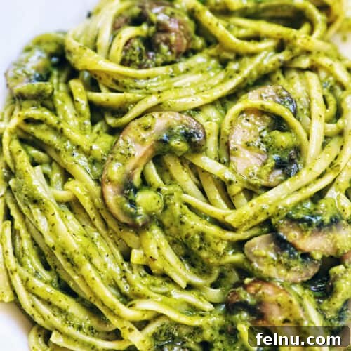 Zucchini and Mushroom Pasta Primavera 18 Mushroom Pesto Pasta