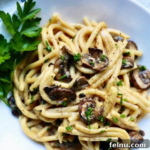 Zucchini and Mushroom Pasta Primavera 19 Creamy Vegan Pasta with Crispy Mushrooms