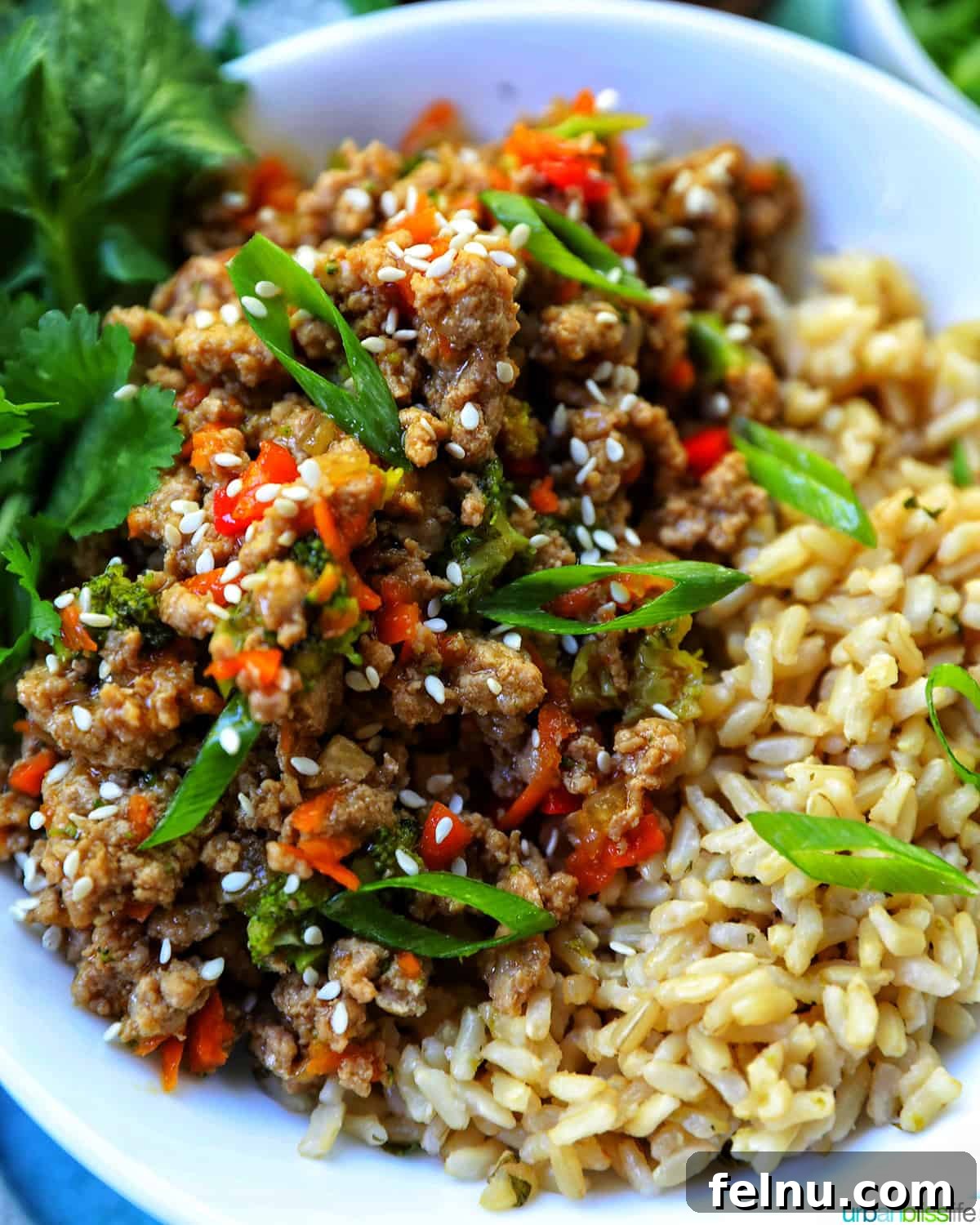 Zesty Cilantro Lime Brown Rice in Your Instant Pot 11 Cilantro Lime Brown Rice with Ground Turkey Teriyaki
