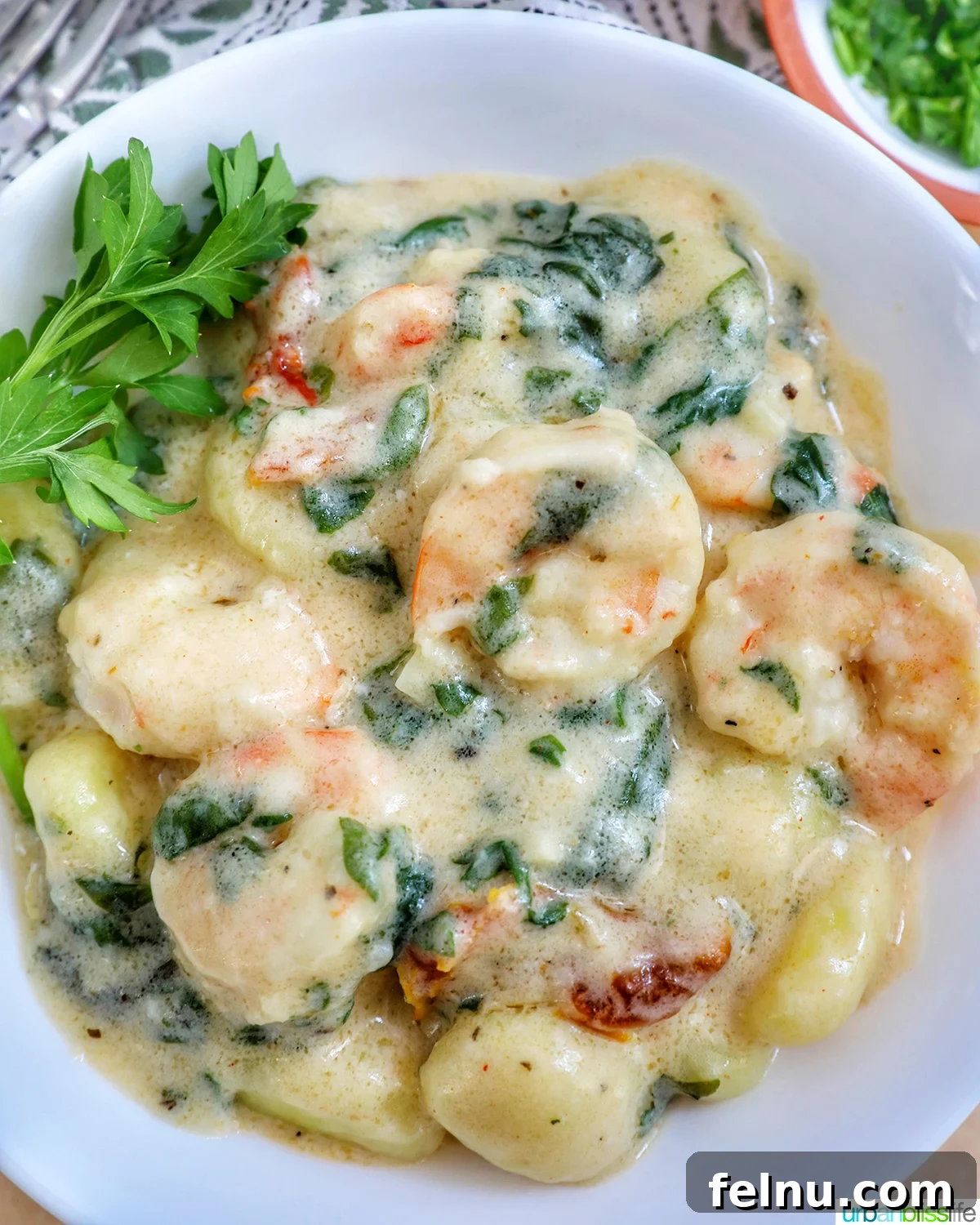 Tuscan Shrimp Gnocchi Delight 2 Tuscan Shrimp Gnocchi in a white bowl with garnish of parsley leaves.