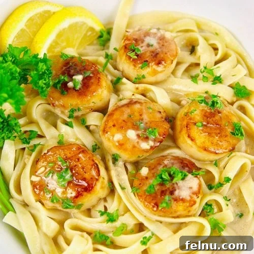 Tuscan Shrimp Gnocchi Delight 19 Pan Seared scallops pasta