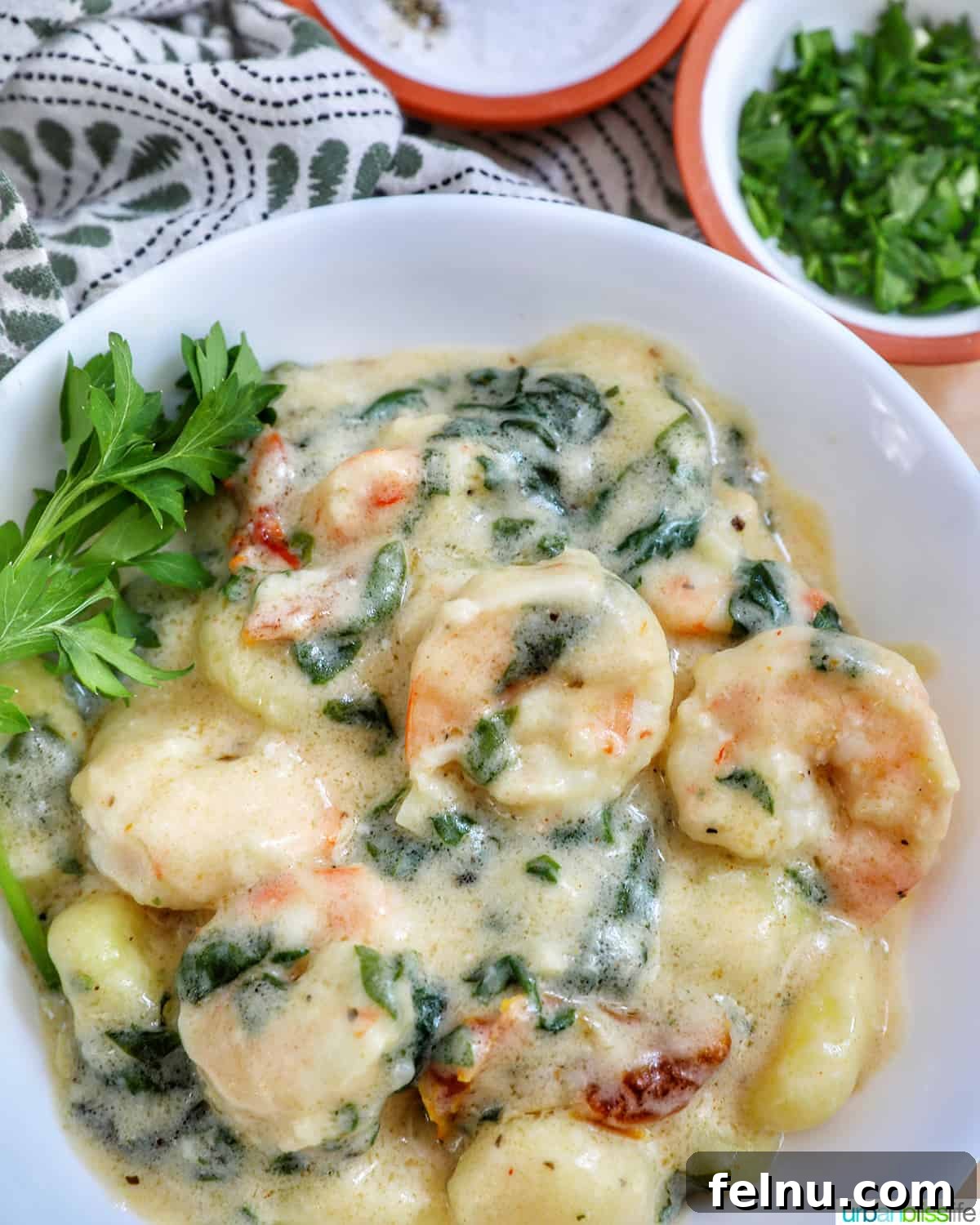 Tuscan Shrimp Gnocchi Delight 3 Close-up of Tuscan Shrimp Gnocchi showing the creamy sauce and ingredients.