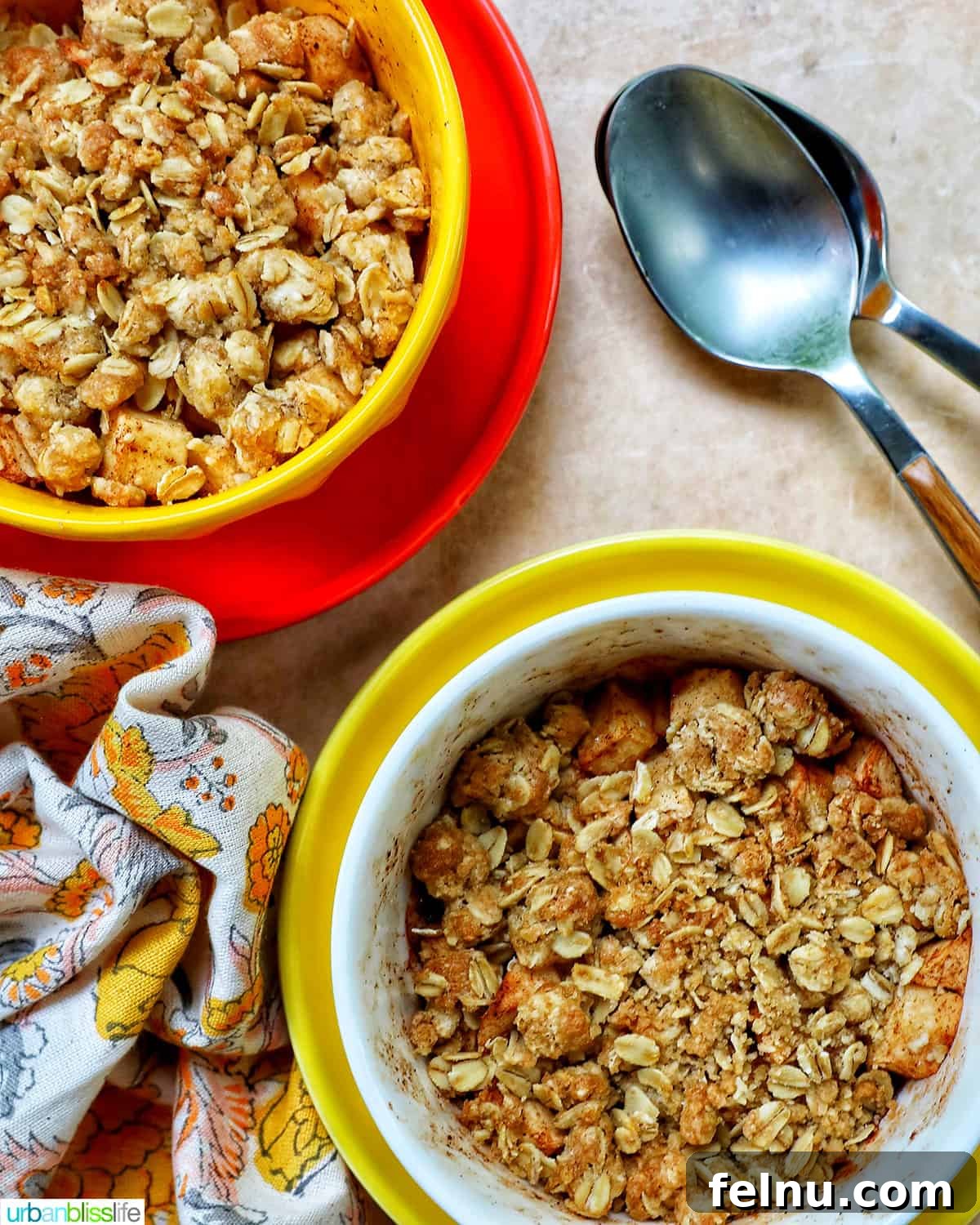 Air Fryer Apple Crumble 15 Two bowls of Air Fryer Apple Crisp and spoons.