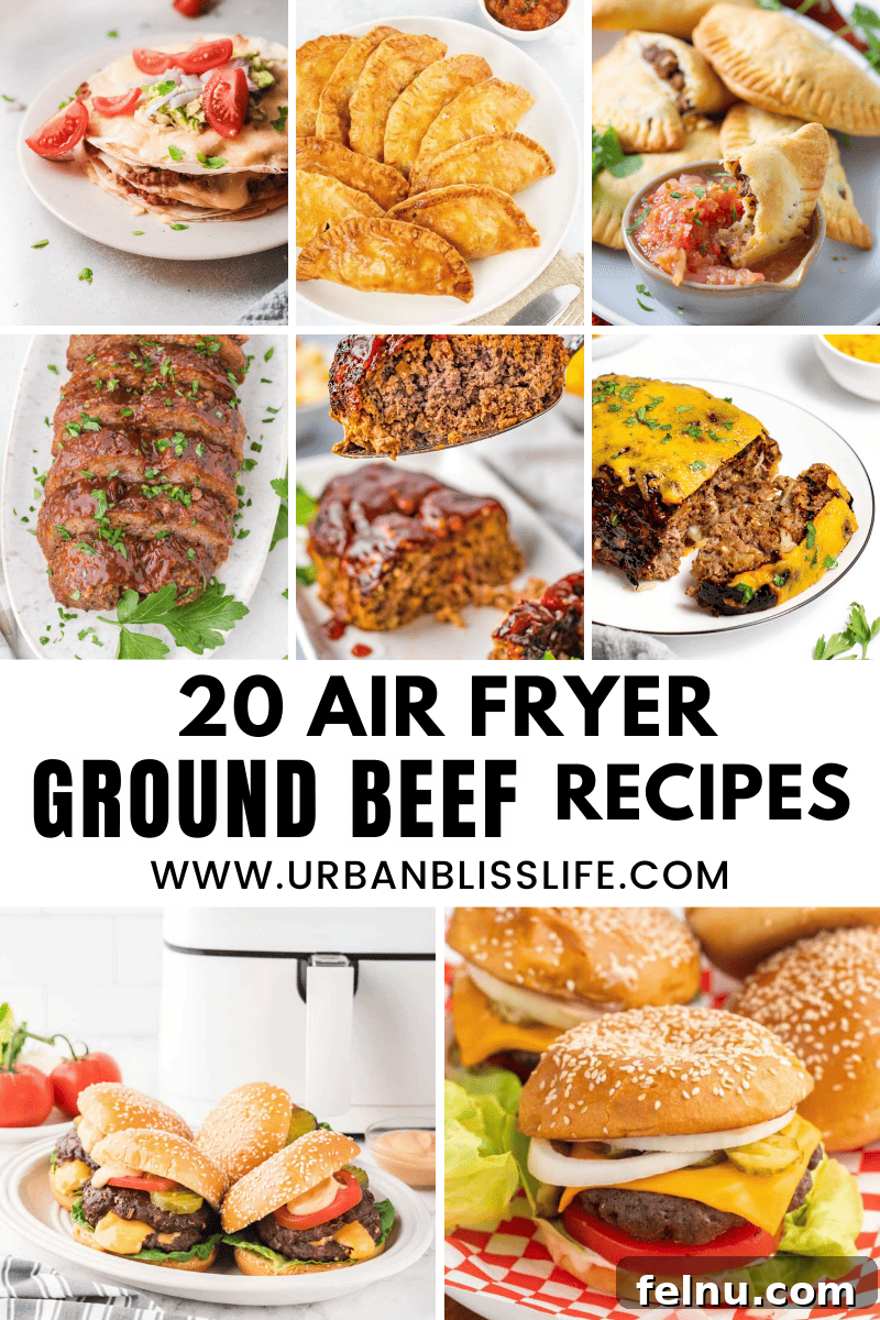Air Fryer Ground Beef Dishes 2 Delicious and Easy Air Fryer Ground Beef Recipes - Quick and Tasty Meals Made Effortlessly
