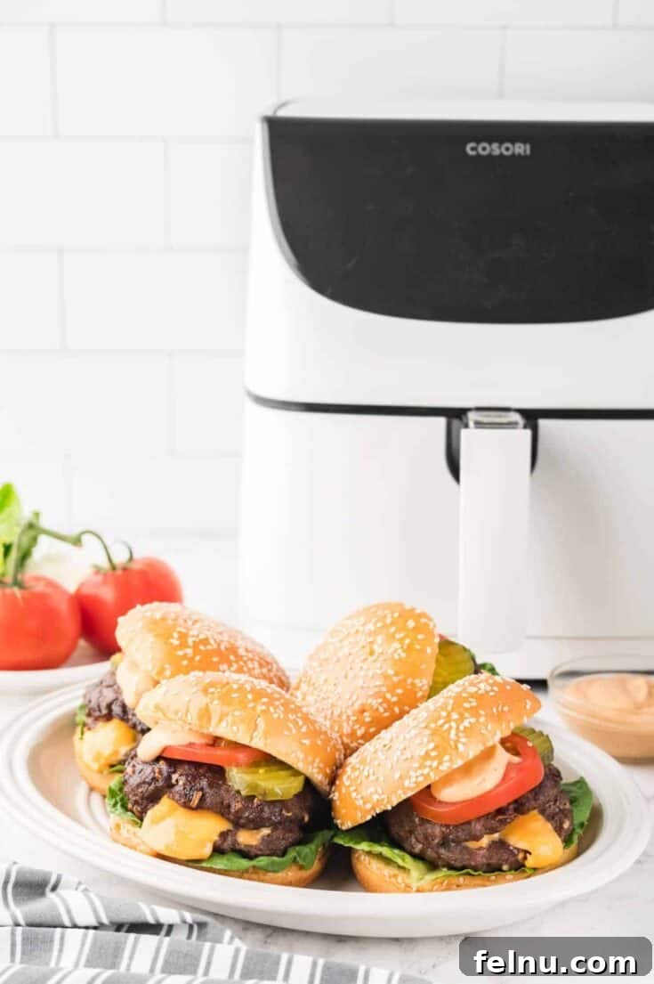 Air Fryer Juicy Lucy Burgers