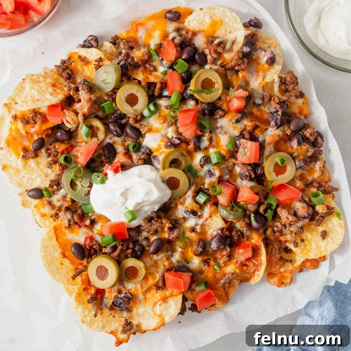 Air Fryer Nachos