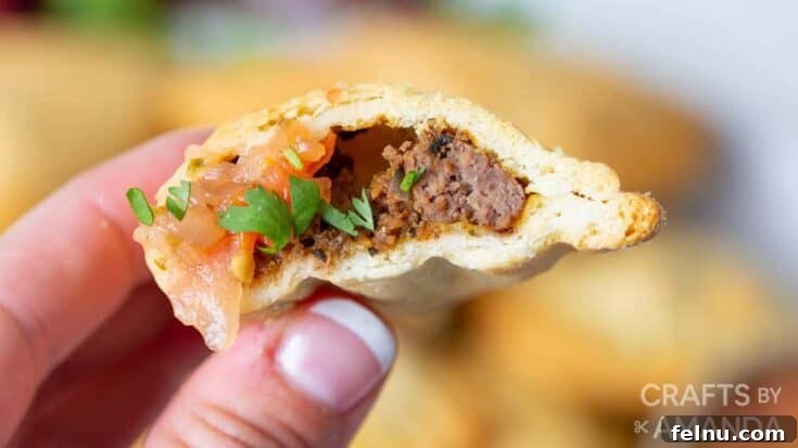 Air Fryer Empanadas