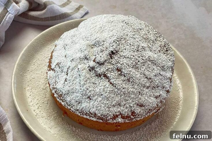 Warm and comforting Air Fryer Apple Cake with juicy apples and warm spices.